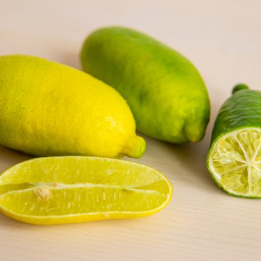 Yellow Finger Lime Pomegrante Plant 10 PCS Seeds
