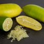 Yellow Finger Lime Pomegrante Plant 10 PCS Seeds