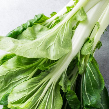 Wong Bok Chinese Green Napa Cabbage 200 PCS Seeds
