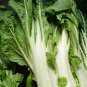 Wong Bok Chinese Green Napa Cabbage 200 PCS Seeds