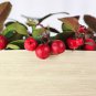 Wintergreen Creeping Gaultheria Procumbens 100 PCS Seeds