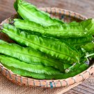 Winged Bean Original Pack Chinese Asparagus Pea Vegetables 3 PCS Seeds