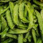 Winged Bean Original Pack Chinese Asparagus Pea Vegetables 3 PCS Seeds