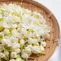 White Orange Jasmine Kamuning Hedging Garden Plants 20 PCS Seeds