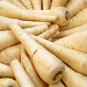 White Gem Parsnip Carrot Vegetables 100 PCS Seeds