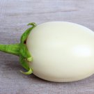 White Eggplant Aubergine Solanum Melongena Vegetables 50 PCS Seeds
