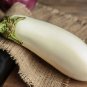 White Eggplant Aubergine Solanum Melongena Vegetables 50 PCS Seeds
