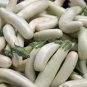 White Eggplant Aubergine Solanum Melongena Vegetables 50 PCS Seeds