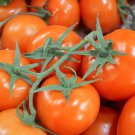 Tomato Cherry 'Rose Red Grape' Fruit 100 PCS Seeds Tomato Cherry 'Rose Red Grape' Fruit 100 PCS Seeds