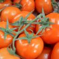 Tomato Cherry 'Rose Red Grape' Fruit 100 PCS Seeds
