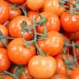 Tomato Cherry 'Rose Red Grape' Fruit 100 PCS Seeds