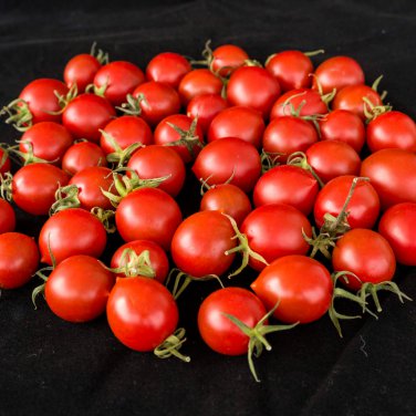 Tiny Tim Dwarf Tomato Bonsai Fruits 30 PCS Seeds