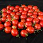 Tiny Tim Dwarf Tomato Bonsai Fruits 30 PCS Seeds