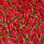 Thai Sun Hot Pepper Capsicum annuum Ornamental Chili 100 PCS Seeds