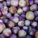 Thai Purple Mini Round Eggplant 100 PCS Seeds Thai Purple Mini Round Eggplant 100 PCS Seeds