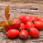 Synsepalum Dulcificum Fruit Red Fruits 30 PCS Seeds