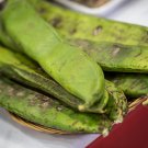 Sword Beans Green Color 5 PCS Seeds Sword Beans Green Color 5 PCS Seeds