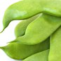 Sword Beans Green Color 5 PCS Seeds
