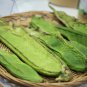 Sword Beans Green Color 5 PCS Seeds