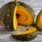 Sweet Pumpkin 10 PCS Seeds