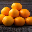 Sweet Citrus Tangerina 20 PCS Seeds Sweet Citrus Tangerina 20 PCS Seeds