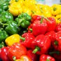 Sweet Bell Pepper Mixed 30 PCS Seeds