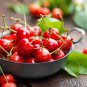 Super Sweet Bonsai Cherry Fruits 60 PCS Seeds