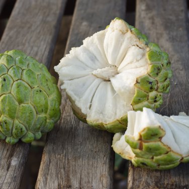 Sugar Apple Sweetsop Custard Apple Fruits 100 PCS Seeds