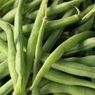 String Bean Non-GMO Dwarf Beans 30 PCS Seeds