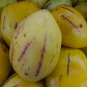 Solanum muricatum Aiton Ginseng Fruit 50 PCS Seeds