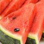 Snow Pear Water Melon White Inside Green Skin Black Stripe 10 PCS Seeds