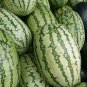 Snow Pear Water Melon White Inside Green Skin Black Stripe 10 PCS Seeds