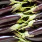 Sichuan Super Red Early-maturing Long Eggplant F1 8 PCS Seeds