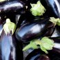 Sichuan Super Red Early-maturing Long Eggplant F1 8 PCS Seeds
