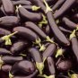 Sichuan Super Red Early-maturing Long Eggplant F1 8 PCS Seeds