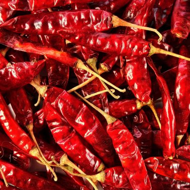 Sichuan Red Dried Chili 200 PCS Seeds