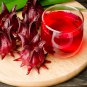 Roselle semillas Flower Plant Sementes 50 PCS Seeds