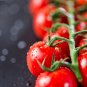 Renrong' Bright Red Cherry Tomato Bonsai 20 PCS Seeds