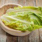 Romaine Lettuce (Lactuca L. var. longifolia) Vegetable 200 PCS Seeds Romaine Lettuce (Lactuca L. var. longifolia) Vegetable 200 PCS Seeds