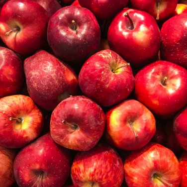 Red-Fleshed Apple Redlove Apple Fruit Tree 50 PCS Seeds