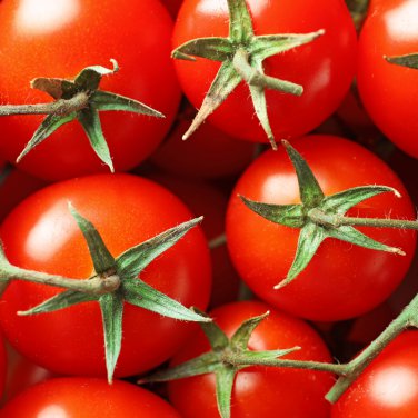 Red Sun Sugar Tasty Cherry Tomato 40 PCS Seeds