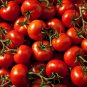 Red Truss Tomato Plant Non-gmo Heirloom Fruits 25 PCS Seeds