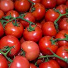 Red Truss Tomato Edible Organic Vegetables 20 PCS Seeds Red Truss Tomato Edible Organic Vegetables 20 PCS Seeds