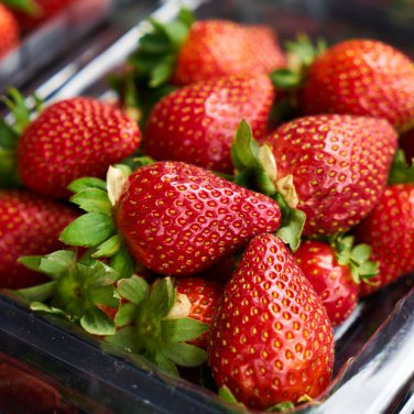 Red Strawberry 15000 PCS Seeds