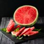 Red Seedless Watermelon Fruit 10 PCS Seeds