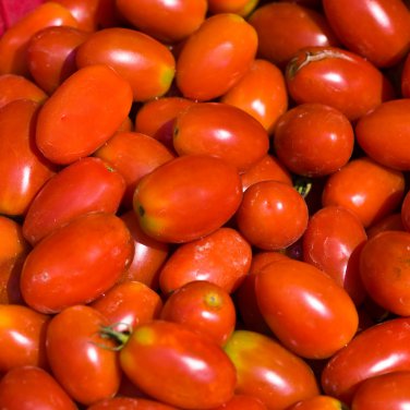 Red Roma Cherry Tomato Edible Organic Fruits 20 PCS Seeds