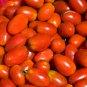 Red Roma Cherry Tomato Edible Organic Fruits 20 PCS Seeds