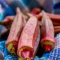 Red Okra Organic 12 PCS Seeds