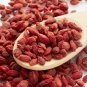 Red Chinese Wolfberry Herbs Lycium barbarum 60 PCS Seeds