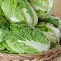 Red Chinese Cabbage 50 PCS Seeds